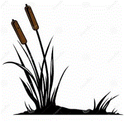 PB cat tails